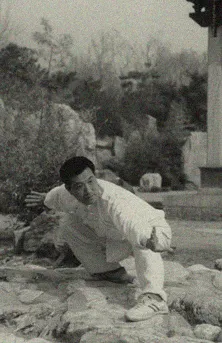 Bagua Zhang - additional image 2