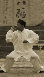 Baji Quan - main image