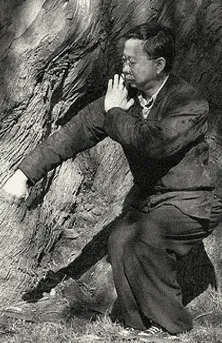 Baji Quan - additional image 1
