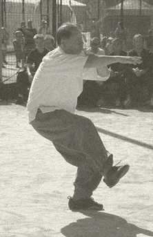 Baji Quan - additional image 2
