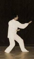 Xing Yi Quan - main image