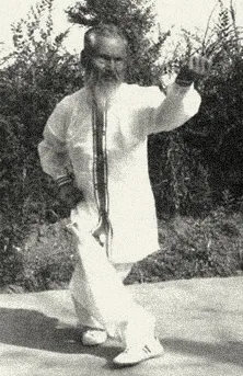 Xing Yi Quan - additional image 1