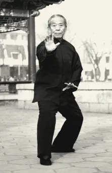 Xing Yi Quan - additional image 2