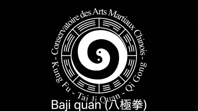 Vidéo Baji Quan