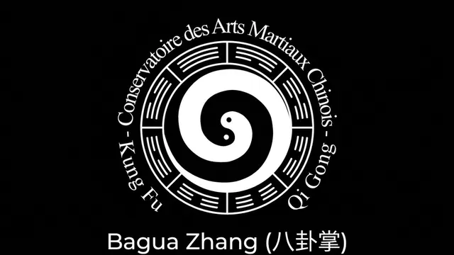 Vidéo Bagua Zhang